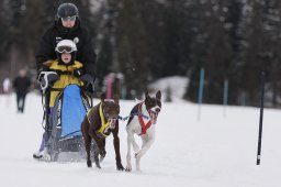 Lenzerheide 2013